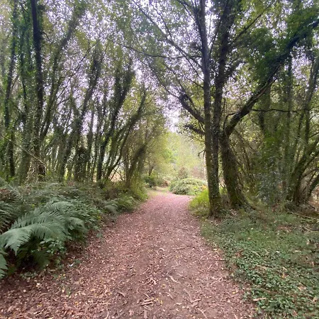 Casal De Pedra Holiday home Santa Irene